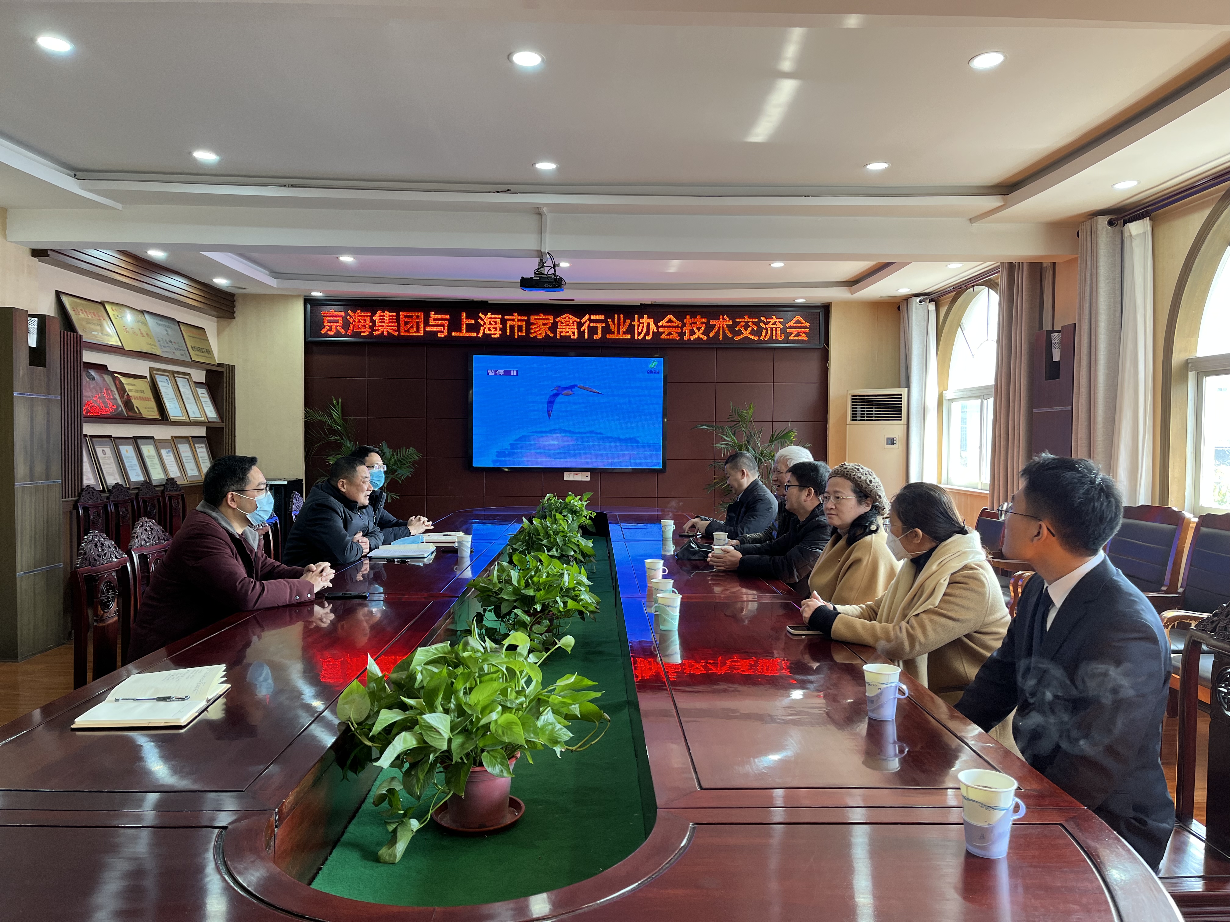 加强区域交流  共促稳产保供——上海市家禽行业协会与京海集团对接交流