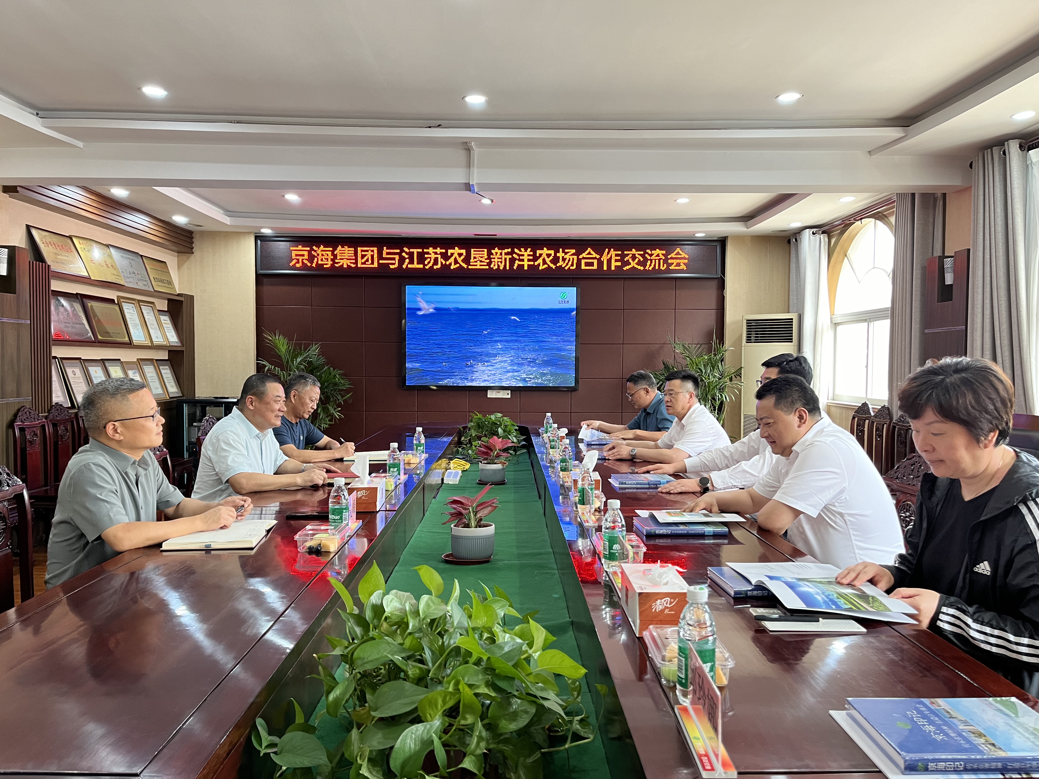 携手并进  共创未来——江苏省新洋农场徐中兵董事长到访京海集团调研种鸡产