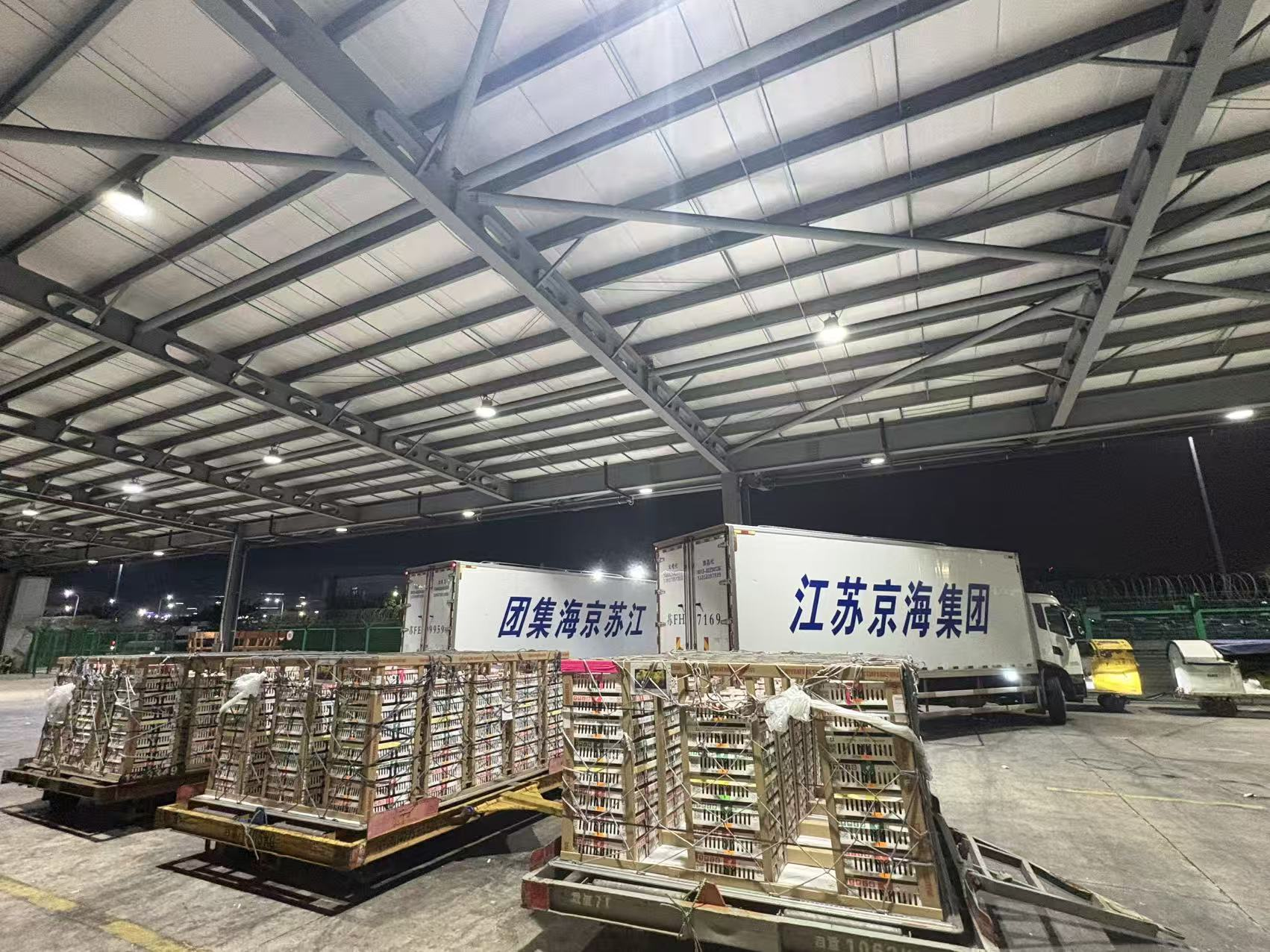 解种源断供之困 擎产业发展之帆——京海集团引种重启为全国白羽肉鸡产业输