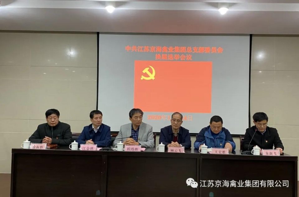 不忘初心重党建 示范引领促发展——中共京海集团党总支换届选举大会